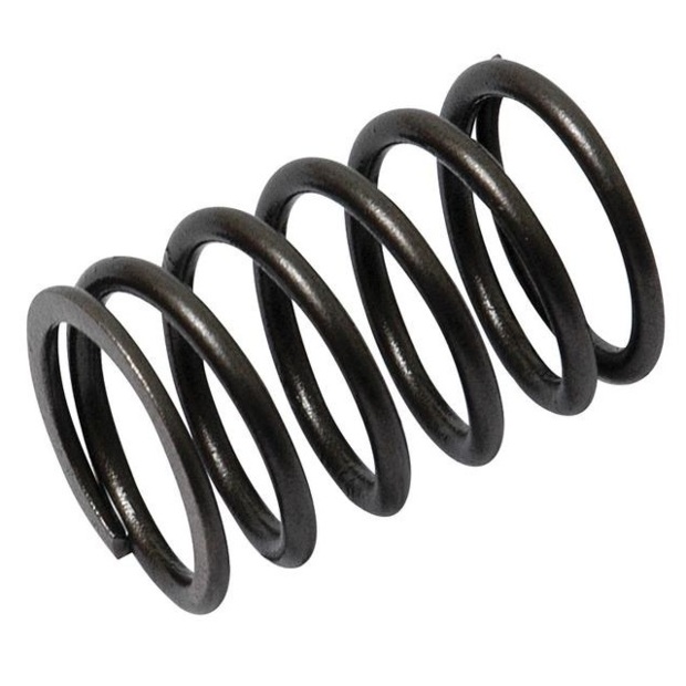 Valve Spring